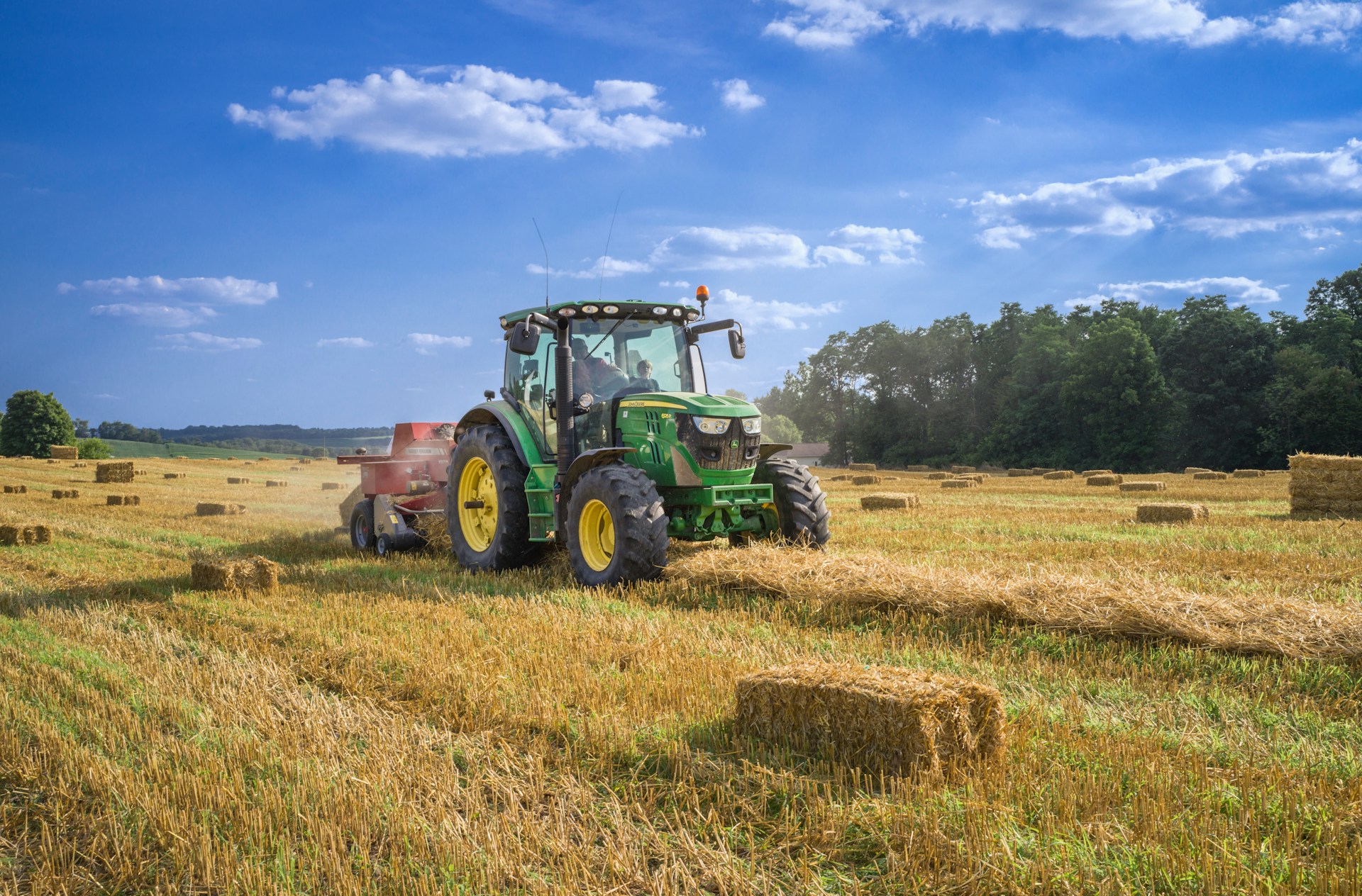 Agribusiness & Value Chain Development